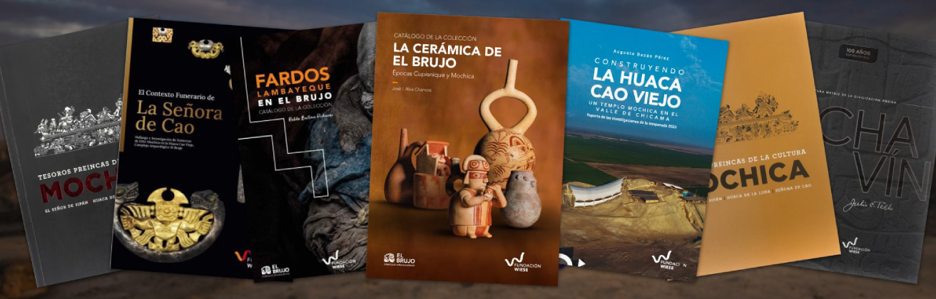 ¡Conoce todos los libros de la Fundación Wiese!